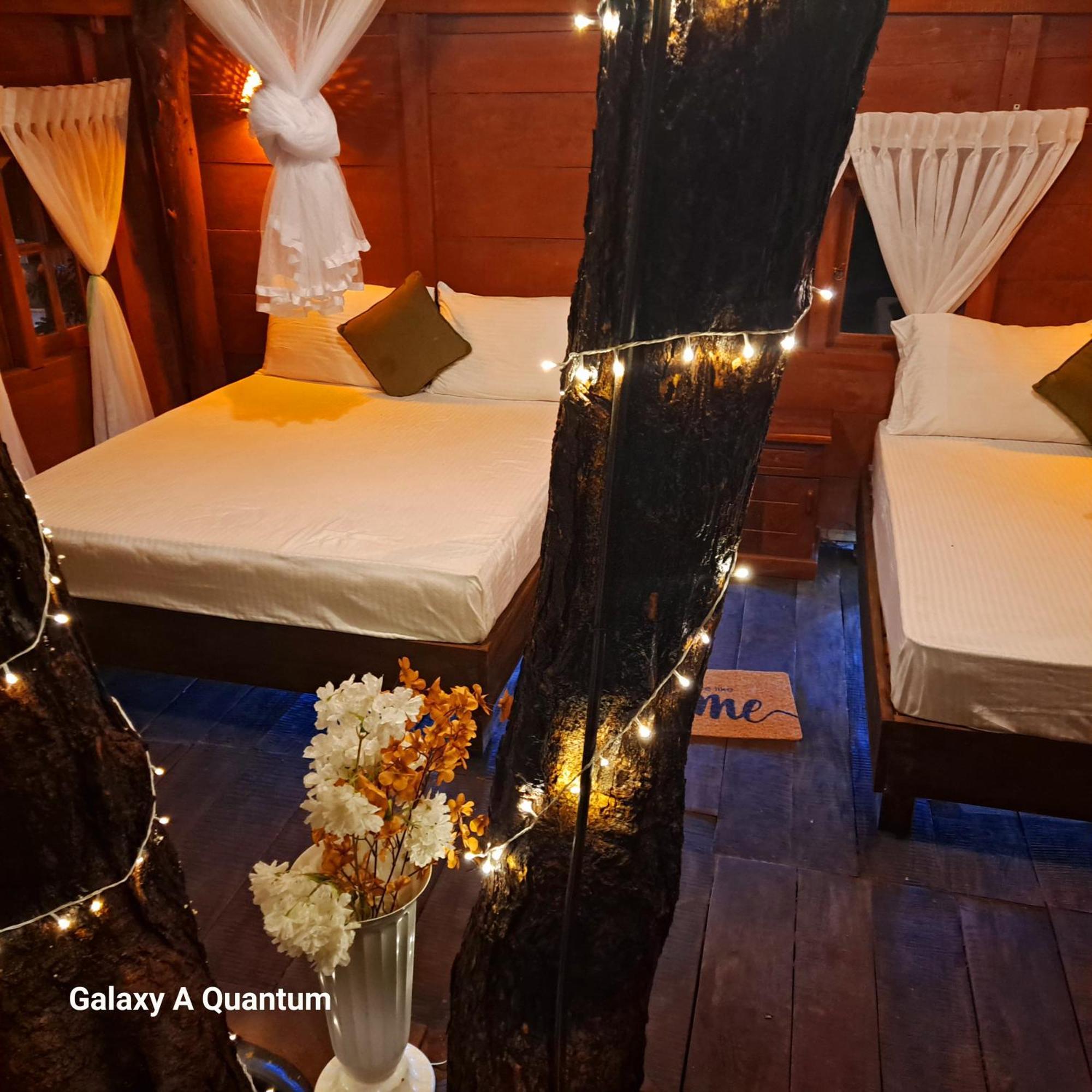 Green Leaf Tree House Dambulla Ngoại thất bức ảnh