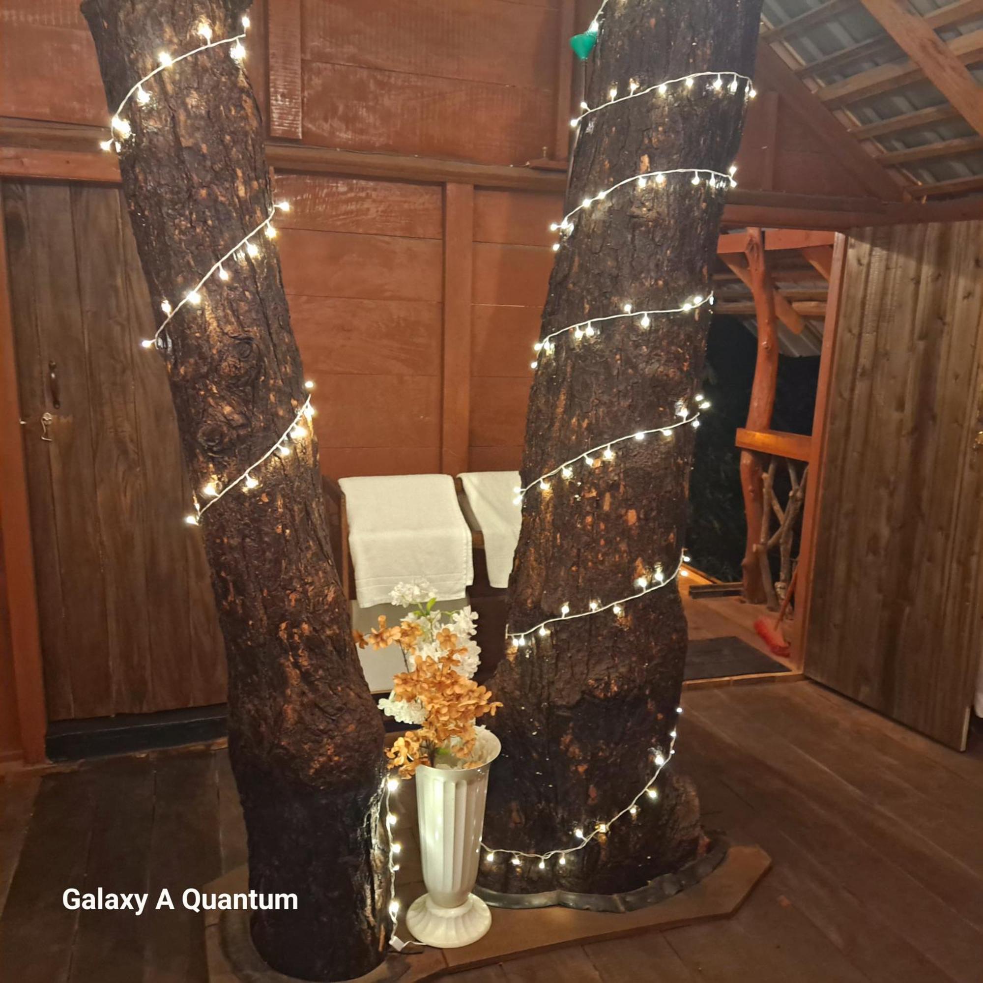 Green Leaf Tree House Dambulla Ngoại thất bức ảnh