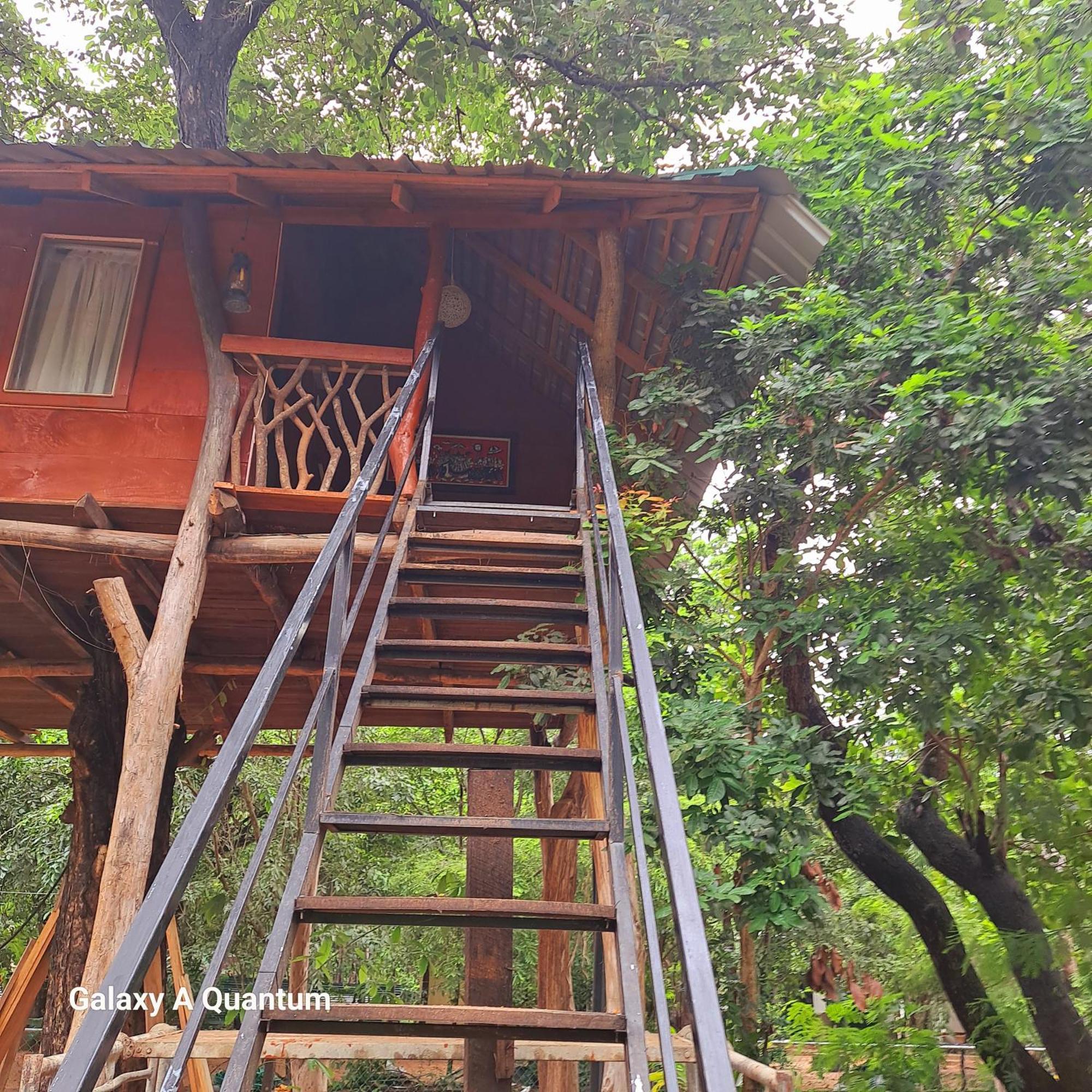 Green Leaf Tree House Dambulla Ngoại thất bức ảnh